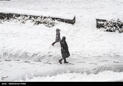 بارش برف در همدان