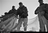 گیلان|‌ 5000 تن ماهی کیلکا امسال از دریای خزر صید شد