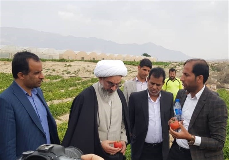 امام جمعه بوشهر: صنایع تبدیلی محصولات کشاورزی در استان بوشهر توسعه یابد