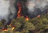 دمای هوا در استان گلستان به 41 درجه رسید؛ احتمال آتش‌سوزی در عرصه‌های منابع طبیعی