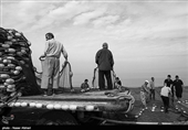 سایه نابودی بر سر ذخایر ماهیان دریای خزر/ کابوس ‌‌صیادان برای تورهایی که دیگر صیدی ندارد!