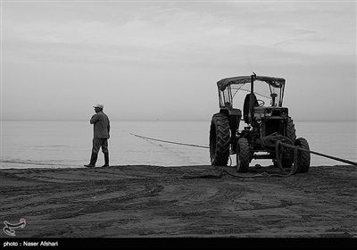 صید ماهی در سواحل دریای خزر