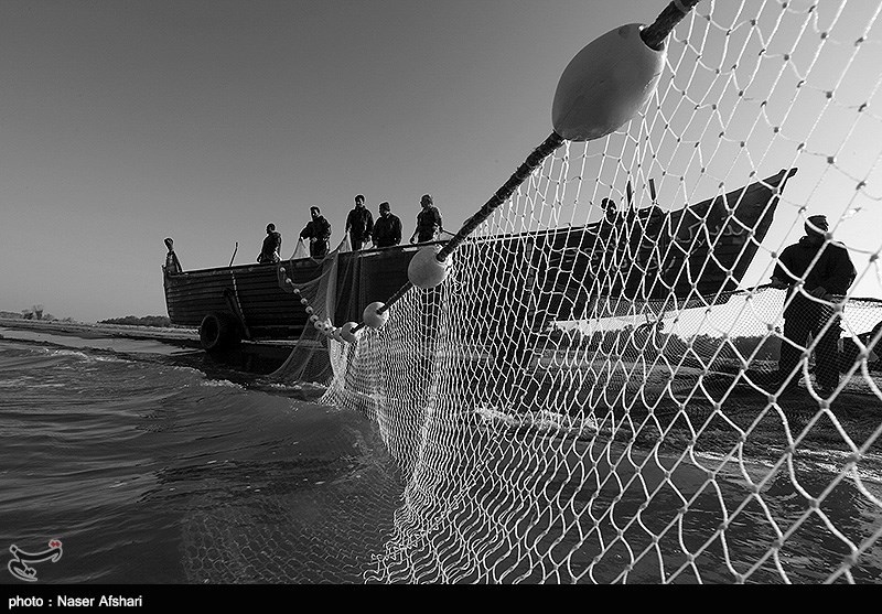 گیلان|‌ صید ماهیان استخوانی از دریای خزر کاهش یافت