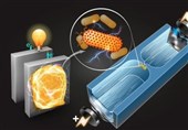 Microbes Screened with New Microfluidic Process Might be Used in Power Generation