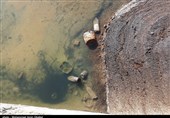 آسیب‌های محیط زیستی میدان نفتی آب تیمور در خوزستان به‌روایت تصویر