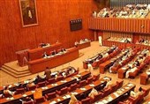 سینیٹ کمیٹی:75 ہزارڈاکٹروں کی رجسٹریشن میعاد ختم ہونے کا انکشاف