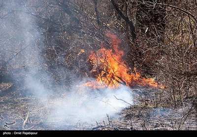 آتش سوزی در جنگلهای سیاهکل گیلان