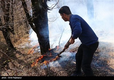 آتش سوزی در جنگلهای سیاهکل گیلان
