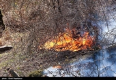 وقوع 1400 مورد آتش‌سوزی در جنگل‌ها و مراتع ایران از ابتدای امسال