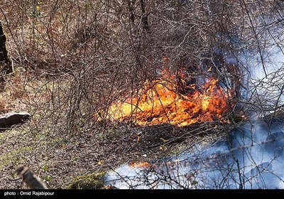  وقوع ۱۴۰۰ مورد آتش‌سوزی در جنگل‌ها و مراتع ایران از ابتدای امسال 