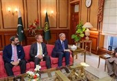 امریکی کمپنی کارگل کا پاکستان میں 20 کروڑ ڈالرکی سرمایہ کاری کا اعلان