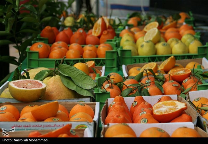 1650 تن سیب و پرتقال شب عید در استان کرمانشاه توزیع می‌شود