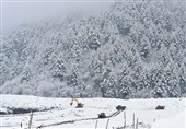 مقبوضہ کشمیر میں برفانی تودہ گرنے سے 5 افراد جاں بحق، 5 لاپتہ