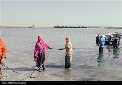 شهرستان جاسک درکرانه دریای عمان وشرق تنگه هرمز