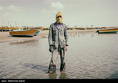 شهرستان جاسک درکرانه دریای عمان وشرق تنگه هرمز