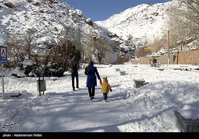 طبیعت زمستانی آبشار گنجنامه - همدان