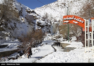 طبیعت زمستانی آبشار گنجنامه - همدان