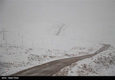 بارش برف در روستای لوجلی شیروان‌