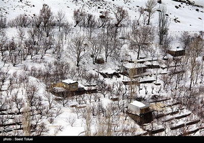 بارش برف در روستای لوجلی شیروان‌