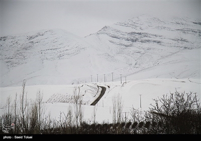 بارش برف در روستای لوجلی شیروان‌