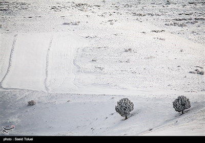 بارش برف در روستای لوجلی شیروان‌