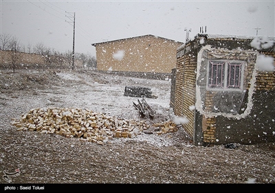 بارش برف در روستای لوجلی شیروان‌