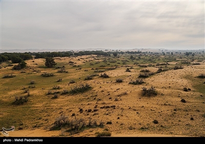 فرسایش سالانه 30 تن خاک در هکتار استان کرمان یک هشدار است