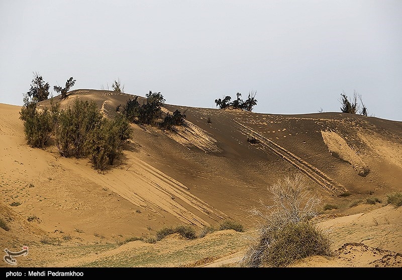 17 درصد از کل فرسایش خاک کشور مربوط به استان فارس است