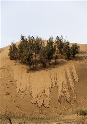 ریزگردهای خوزستان منشاء تالابی دارد و بسیار دانه ‏ریز است در‏حالی‏ که تپه‏ های ماسه‏ ای درشت‏دانه هستند و همیشه هم بودند و قابلیت ایجاد غبار در هوا را ندارند
