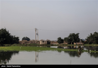 روستاهای سیل زده شعیبیه - خوزستان