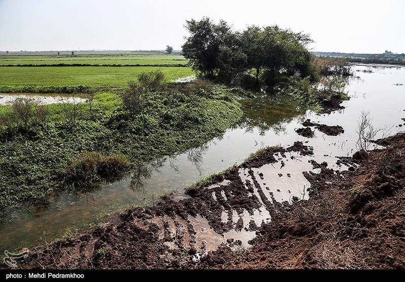 خوزستان| روستاهای در معرض خطر سیل در دزفول تخلیه می‌شوند