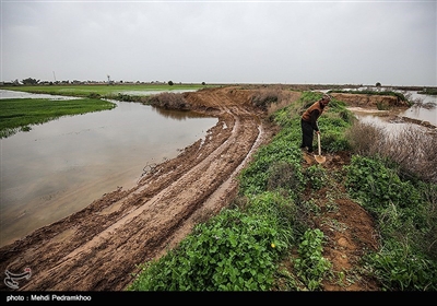 آبگرفتگی و خسارت سنگین به روستاهای استان خوزستان در پی بارش باران