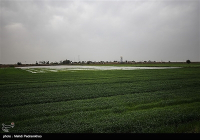 آبگرفتگی و خسارت سنگین به روستاهای استان خوزستان در پی بارش باران