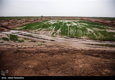 آبگرفتگی و خسارت سنگین به روستاهای استان خوزستان در پی بارش باران