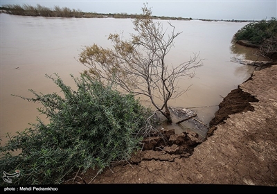 آبگرفتگی و خسارت سنگین به روستاهای استان خوزستان در پی بارش باران