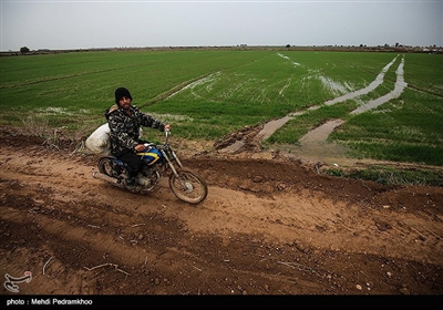 آبگرفتگی و خسارت سنگین به روستاهای استان خوزستان در پی بارش باران