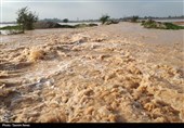 خوزستان| باران 120 میلیارد ریال به اراضی کشاورزی اندیمشک خسارت وارد کرد