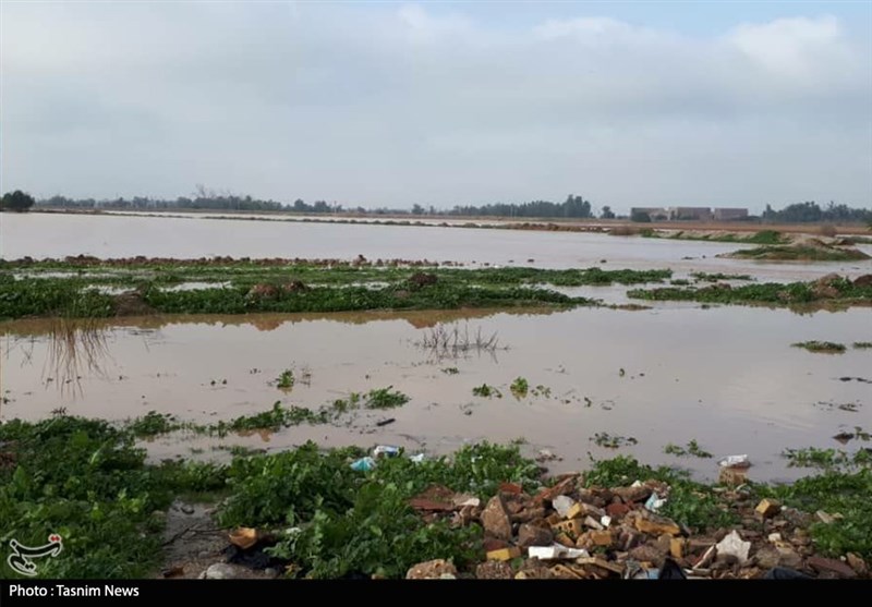 سیلاب به 2 هزار هکتار از اراضی کشاورزی اندیمشک خسارت وارد کرد