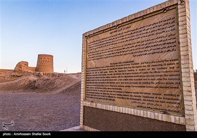 نارین قلعه‌ی میبد یزد، یکی از بناهای تاریخی و باشکوه ایران کهن در دوران ساسانی است که معماری و هنر سازندگان آن، موجب تحسین باستان‌شناسان و تاریخ‌دوستان شده است. این بنای کهن سال ۱۳۵۴ با شماره‌ی ۳۴۹۰ به ثبت ملی رسیده است.