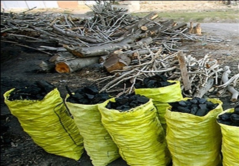 یگان حفاظت از زغالگیری در تمام شهرستان‌های لرستان فعال است