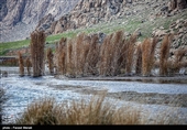 Hashilan Wetland in Kermanshah: A Tourist Attraction of Iran