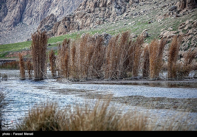 Hashilan Wetland in Kermanshah: A Tourist Attraction of Iran