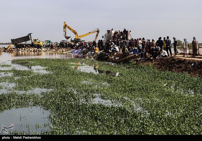 خوزستان| سیلاب اخیر بیش از 8 میلیارد تومان به مزارع کشاورزی شوش خسارت وارد کرد