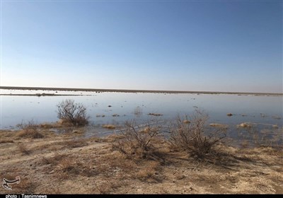 توضیحات عضو انجمن آب و خاک ایران درباره آلودگی تالاب بندعلی‌خان