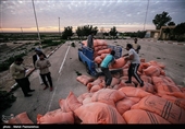 ابتکار گروه‌های جهادی برای حل مشکلات دامداران در روستاهای محصور در سیل خوزستان+ فیلم