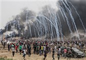 Over 20 Palestinians Injured in Gaza by Israeli Army Gunfire