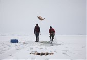 ماهیگیری در برکه‌های یخ‌زده ترکیه + عکس