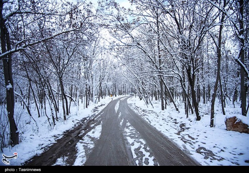 بارش برف و دمای زیر صفر در خراسان شمالی/ مصرف گاز 25 درصد افزایش یافت
