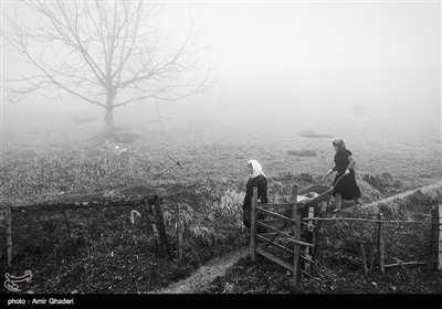 ساده بودن زندگی در روستای شامیلرزان از توابع بخش خطبه سرای تالش در گیلان 