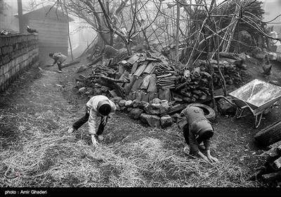 کودکان در این روستا پا به پای بزرگ ترهای خود کار میکنند و در اوقات بیکاری از بازیهای بسیار ساده بهره میبرند 